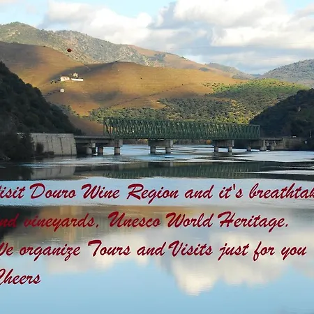 Capim Dourado Cedofeita