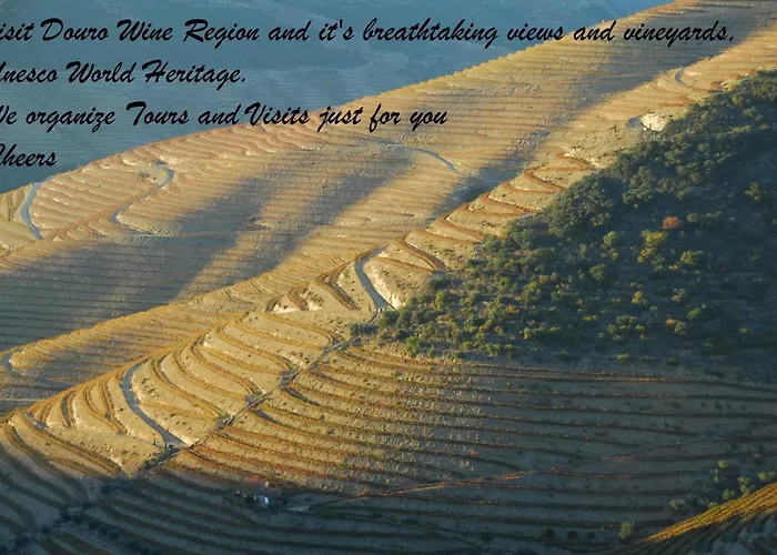 Capim Dourado Cedofeita Porto