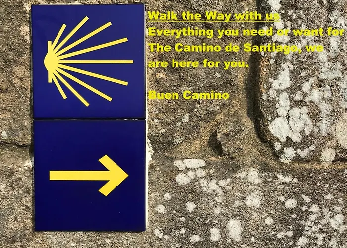 Capim Dourado Cedofeita