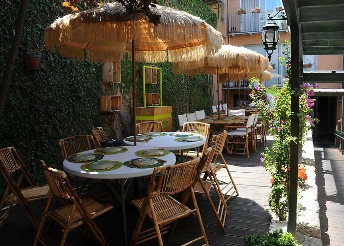 Capim Dourado Cedofeita *