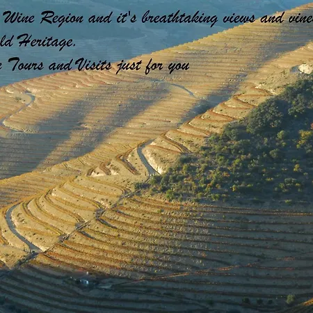 Capim Dourado Cedofeita Oporto