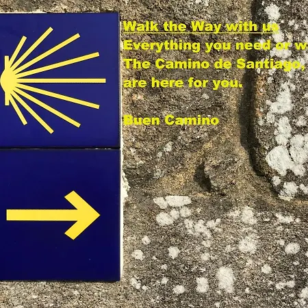 Capim Dourado Cedofeita