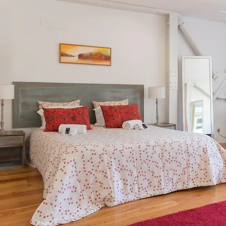 Capim Dourado Cedofeita Apartment