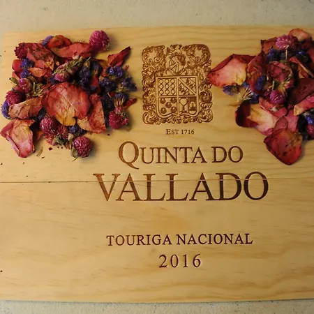 Capim Dourado Cedofeita 波尔图