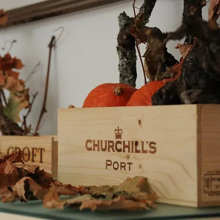 Capim Dourado Cedofeita Appartement