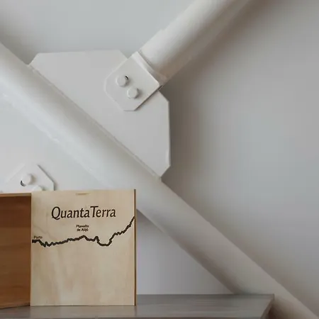 Apartamento Capim Dourado Cedofeita