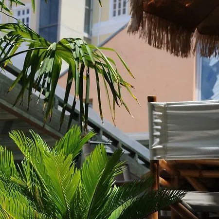 Capim Dourado Cedofeita * Oporto