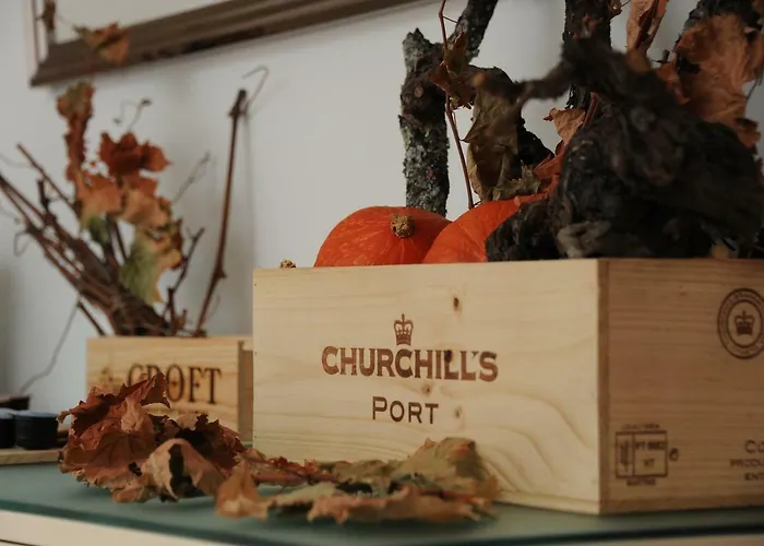 Capim Dourado Cedofeita Appartement