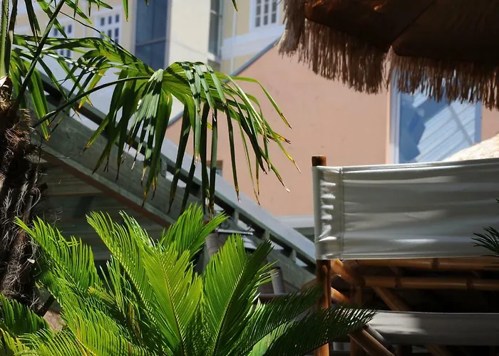 Capim Dourado Cedofeita * Porto