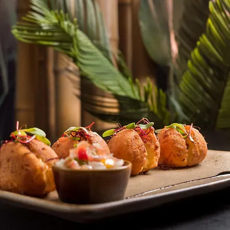 Capim Dourado Cedofeita Daire Porto