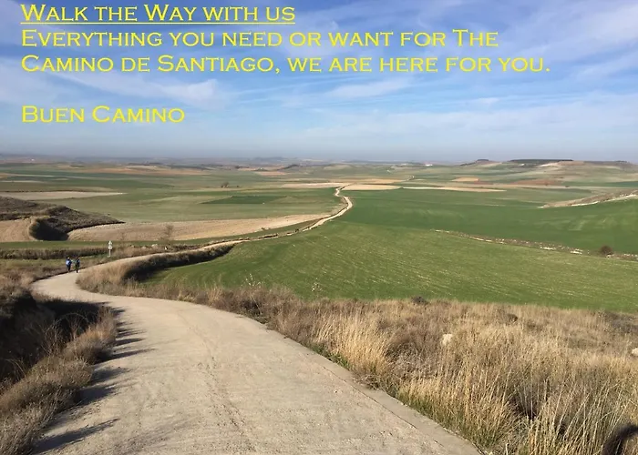 Daire Capim Dourado Cedofeita Porto