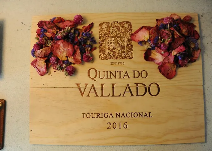 Capim Dourado Cedofeita Oporto