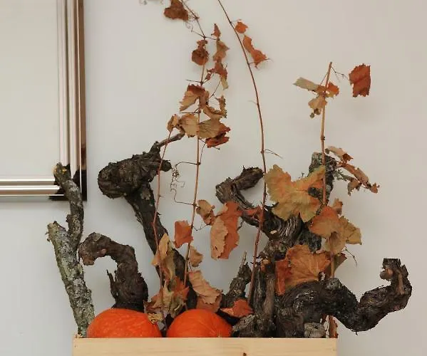 Daire Capim Dourado Cedofeita *