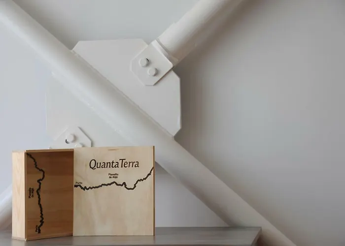 Appartement Capim Dourado Cedofeita