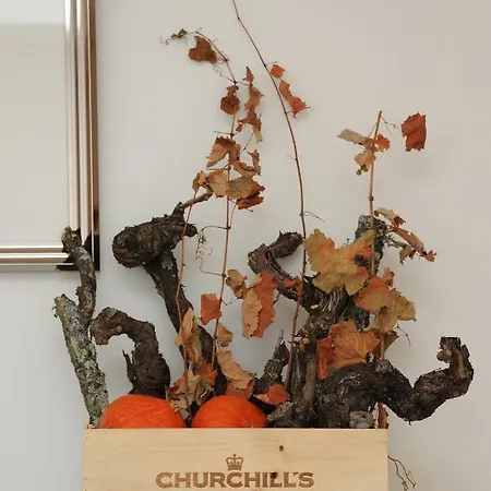 公寓 Capim Dourado Cedofeita *