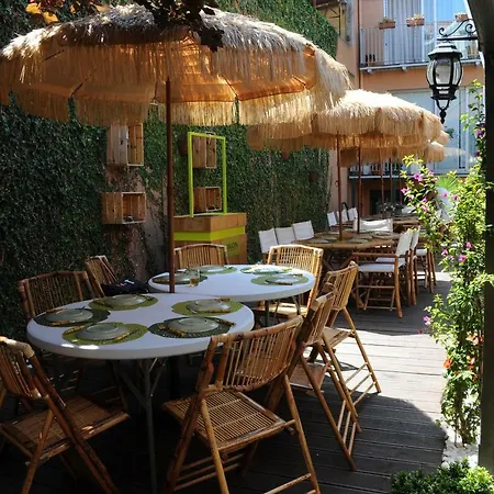 Capim Dourado Cedofeita *